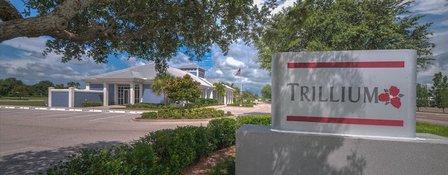 Trillium Healthcare Consulting Group