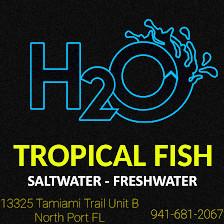 H2O Tropical Fish