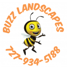Buzz Landscapes