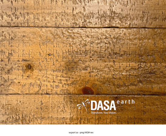 DASA Earth