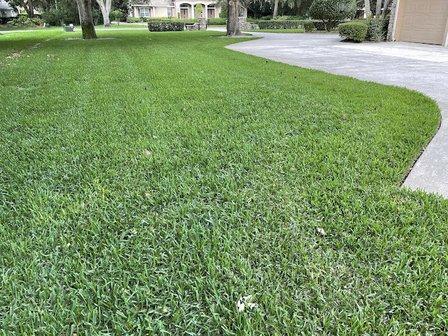 Pest Patrol of Central Florida