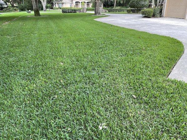Pest Patrol of Central Florida