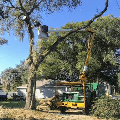 High View Tree Service Inc