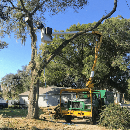 High View Tree Service Inc