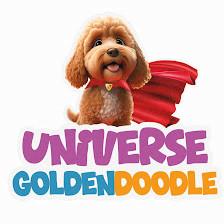 Universe Goldendoodles