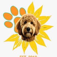 Shalom Goldendoodles By Mary