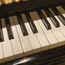 Yuliya Strongovska Piano Teacher, Bradenton Fl.