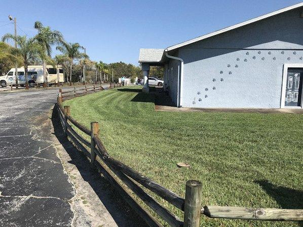 Average Joe Landscape