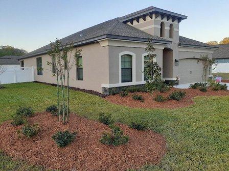 Vitale Homes