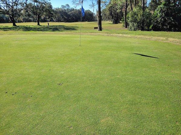 Tarpon Woods Golf Course