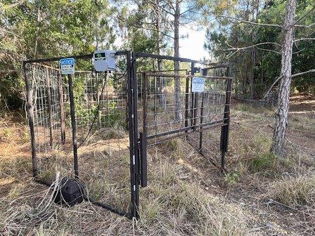 Bell Brothers Eradication