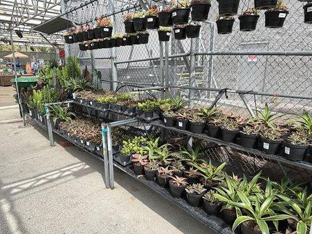Walmart Garden Center