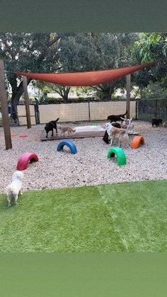 Doggy Resort SRQ