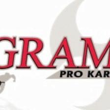 Ingram's Karate Center