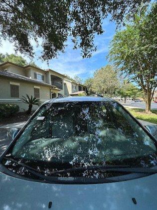 Florida State Auto Glass