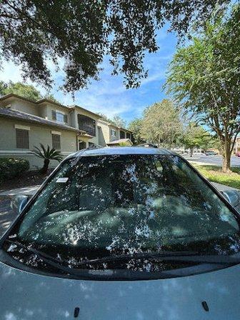 Florida State Auto Glass