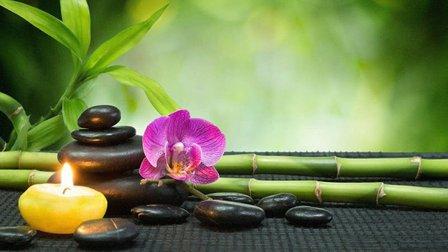 A Blissful Garden Massage & Wellness Center