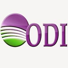 ODI Consulting Inc