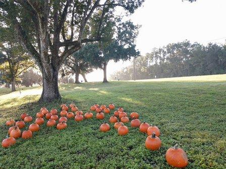 Ocala Breeders' Feed & Supply - Highway 27 Location