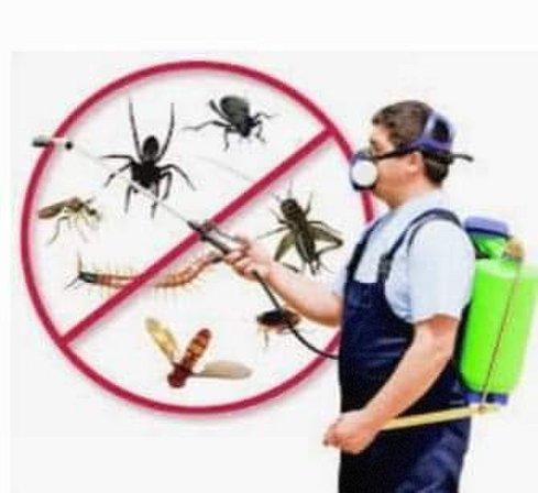 Around the Clock Pest Service LLC