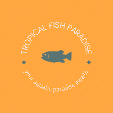 Tropical fish paradise