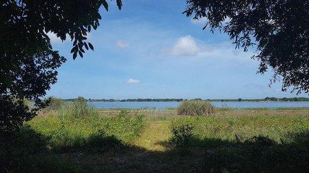 Barbara B. Pedersen Wildlife Preserve