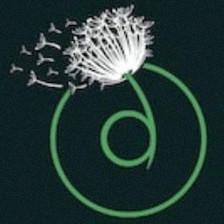 DANDELION Boutique Salon Luxury Organics and more