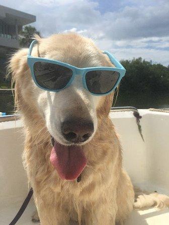 Jim La Clair's Dog Friendly