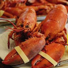 Boston Lobster Feast