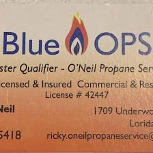 Blue Ops LLC