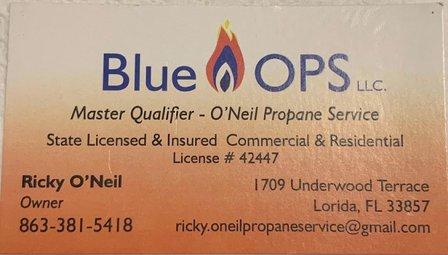 Blue Ops LLC