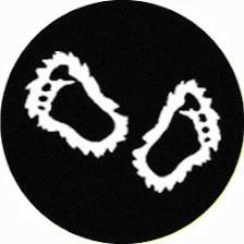 Bigfoot Trailers LLC