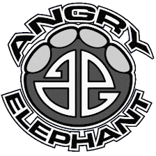 Angry Elephant Tattoos Winter Haven