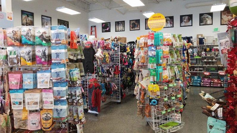 Holistic For Pets