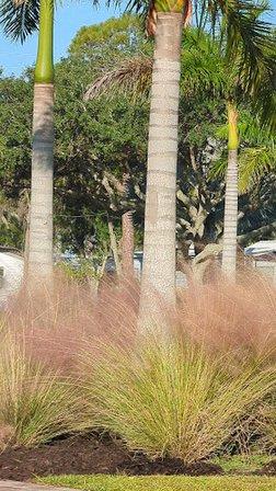 Manatee RV Park