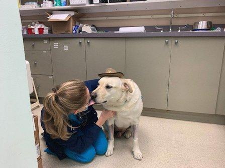 Suncoast Veterinary Emergency & Specialty Center