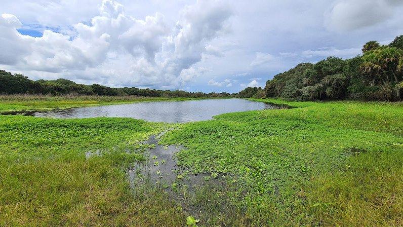 Myakka River State Park Ranger Station