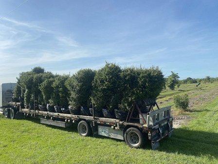 Agri-Land Solutions LLC.
