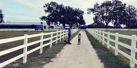 BG Ocala Ranch