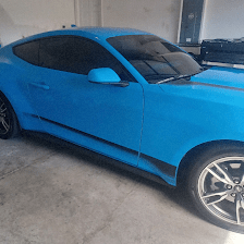 Lester Bee Auto Tinting