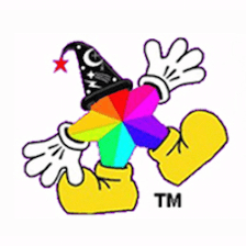 Your WDW Store