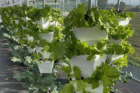 Verti-Gro