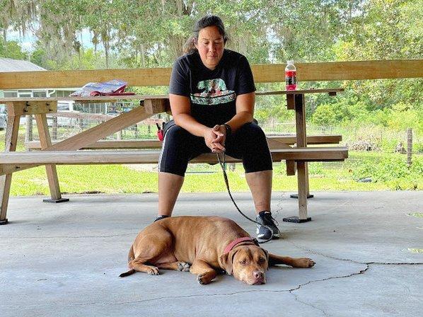 The Loyal Canine Dog Training