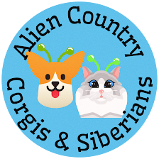 Alien Country Corgis & Siberian Cats
