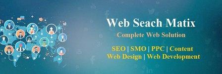 Web Search Matix