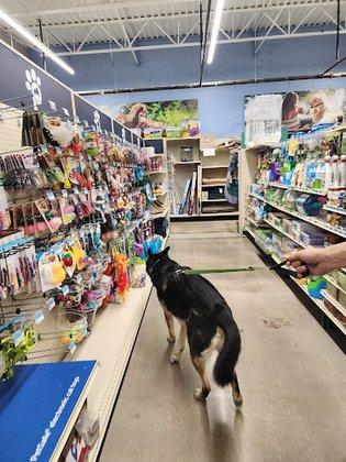 Petsense