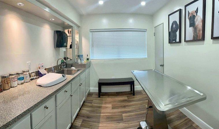 Paw Haven Animal Hospital Winter Haven