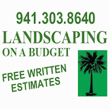 Landscaping on a Budget Sarasota