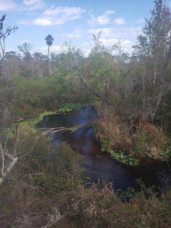 Creek Bluffs Loop Trailhead, The Nature Conservancy's Tiger Creek Preserve