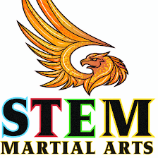 STEM Martial Arts Summer Camp